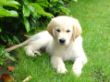 DSC06716.JPG