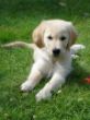 DSC06749.JPG