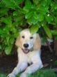 DSC07018.JPG
