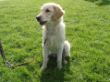 DSC07207.JPG