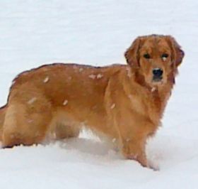 12122012067.jpg