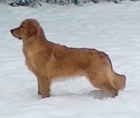 12122012070.jpg