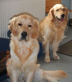 Joschi & Jeff (1)1.JPG