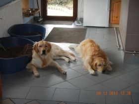 Joschi & Jeff (2).JPG