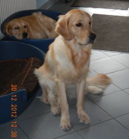 Joschi & Jeff1.JPG