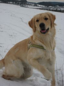 Elli (1)1.jpg
