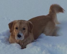 20130209_165642.jpg