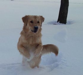 20130209_165925.jpg