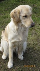 JPEG Image 24.jpg