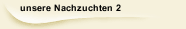 unsere Nachzuchten 2