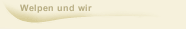  Welpen und wir