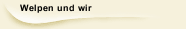  Welpen und wir