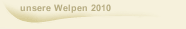 unsere Welpen 2010