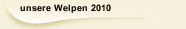 unsere Welpen 2010