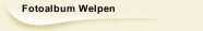 Fotoalbum Welpen